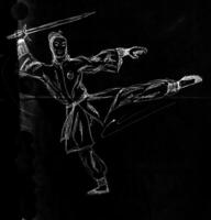 een karate worstelaar zwaaiende een zwaard en schoppen foto