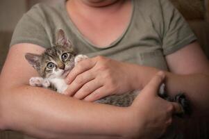 jong schattig katje knuffels met zijn menselijk foto