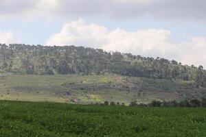 landschap in de bergen in noordelijk Israël. foto