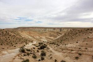 de negev is een woestijn in de midden- oosten, gelegen in Israël en bezetten over 60 van haar grondgebied. foto