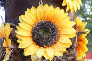 bloemen in een stad park Aan de kusten van de middellandse Zee zee. foto