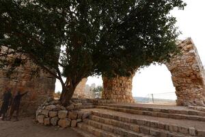 02 12 2024 Haifa Israël. jaja is de ruïnes van een kruisvaarder en Ottomaanse tijdperk vesting in western Galilea, Israël. foto