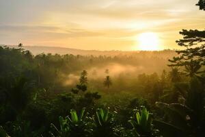 foto zonsopkomst over- Bali oerwoud