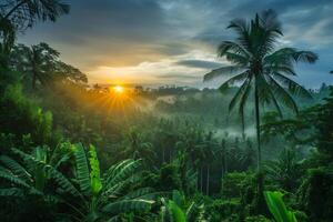 foto zonsopkomst over- Bali oerwoud