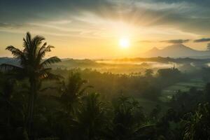 foto zonsopkomst over- Bali oerwoud