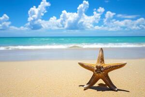 foto zeester Aan zomer zonnig strand Bij oceaan