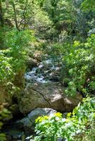 sapadere Ravijn met rivier, houten paden en watervallen van watervallen in de Stier bergen in de buurt alanya, kalkoen foto