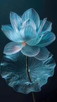 iriserend detailopname van een lotus bloem Aan zwart achtergrond foto