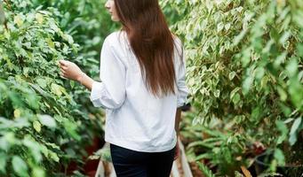 foto van achteren van een jong meisje dat door de planten in de tuin loopt