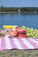 mooi picknick met fruit, groenten en bril van wijn in de buurt meer. foto