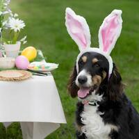 hond met konijn oren zit in de buurt Pasen vakantie tafel voor sociaal media post grootte foto