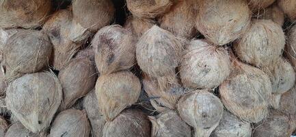 stapel van bruin oud kokosnoten geschild met bloemknoppen verkocht in Indonesië traditioneel markt foto