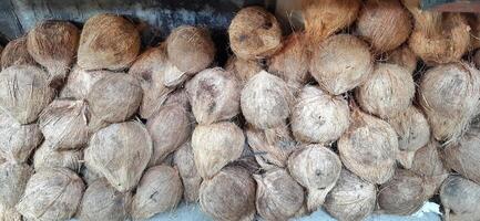 stapel van bruin oud kokosnoten geschild met bloemknoppen verkocht in Indonesië traditioneel markt foto