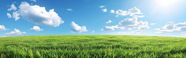 weelderig groen gras veld- onder blauw lucht foto