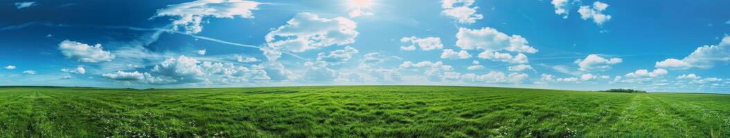 weelderig groen gras veld- onder blauw lucht foto