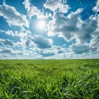 met gras begroeid veld- onder blauw lucht met wolken foto