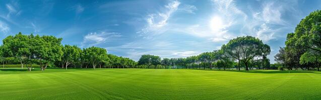 groen golf Cursus omringd door bomen foto