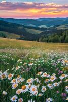 wilde bloemen veld- met bergen achtergrond foto