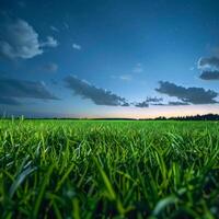 grasveld met hemelachtergrond foto