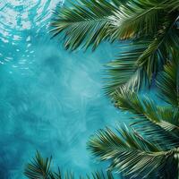 palm boom tegen blauw water foto