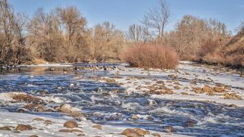 vroeg winter ochtend- Bij Colorado uitlopers en poudre rivier- foto