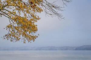 mistig november ochtend- over- de Tennessee rivier- Bij colbert veerboot park, natuurlijk spoor parkway foto