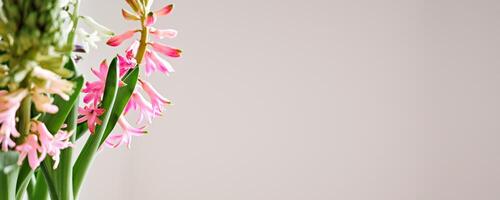 voorjaar Pasen minimaal banier met boeket van hyacinten detailopname. selectief focus, neutrale kleuren foto
