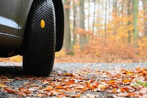 banden met bladeren en auto Aan nat weg in herfst seizoen. mistig en gevaarlijk het rijden - concept voor verkeer en weg veiligheid. foto