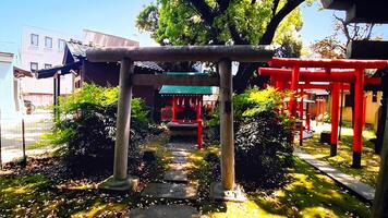 altaar torii en aanpak.mimeguri altaar is een altaar gelegen in mukojima, sumida afdeling, Tokio, Japan. foto