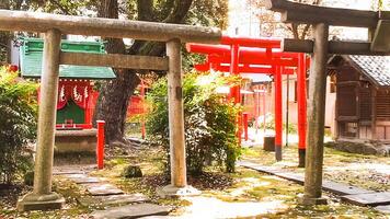 altaar torii en aanpak.mimeguri altaar is een altaar gelegen in mukojima, sumida afdeling, Tokio, Japan. foto