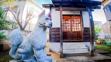 komagitsune en altaar Bij inari altaar hamadayama inari Daimyojin, een altaar gelegen in een woon- Oppervlakte van hamadayama 3-chome, suginami-ku, Tokio, Japan deze Oppervlakte was een keer huis naar de herenhuis foto