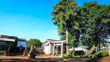 altaar terrein hikawadai suwa altaar, een altaar gelegen in hikawadai, nerima afdeling, Tokio, Japan het was Gesticht in de edo periode en heeft geweest vereerd net zo een altaar parochiaan van nerimacho imakami foto