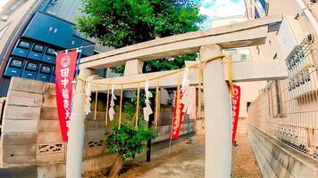 torii van een altaar in een woon- Oppervlakte Tanaka inari Daimyojin,, 3-choom shimotakaido, suginami-ku, Tokio, Japan de datum van haar vestiging is onbekend, maar het is zei naar hebben geweest verankerd Daar foto