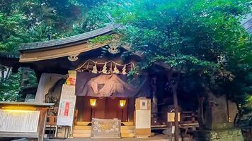 inari kio altaar, een altaar in Kabukicho, shinjuku-ku, tokyo de enkel en alleen altaar in Japan dat verankert de demon koning gogen. sinds de edo periode, tofu heeft geweest zei naar hebben speciaal Effecten Aan eczeem foto