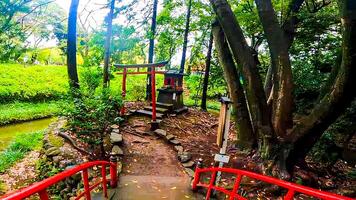 rood torii poort en klein rood altaar benzine itsukushima heiligdom.kawagoe stad, saitama prefectuur, Japan. foto