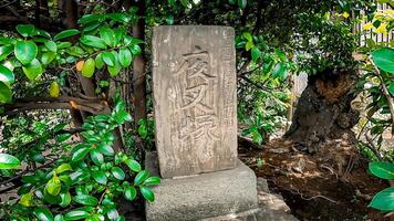 Yashazuka ofmeo fudoson is een tempel in stelagaya afdeling, Tokio, japan.it was gebouwd naar comfort die wie ging dood in deze wereld net zo demonen of yaksha's. foto