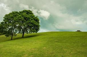 bomen en grasheuvels op het uitkijkpunt doi samer dao foto