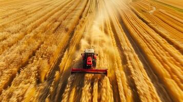 ai gegenereerd foto van oogstmachine werken in een tarwe veld. gegenereerd door kunstmatig intelligentie.