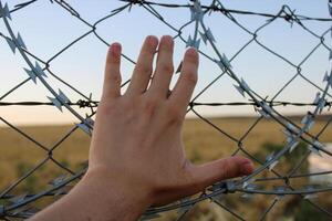 een mannetje hand- Holding de schutting. vluchteling of gevangene mannetje. vertegenwoordiger van vrijheid en gevangenschap. foto