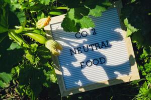 brief bord met tekst co2 neutrale voedsel Aan achtergrond van tuin bed met groen courgette. biologisch landbouw, produceren lokaal groenten concept. ondersteunen lokaal boeren. seizoensgebonden markt foto