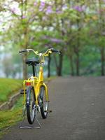 fiets in de tuinweg foto