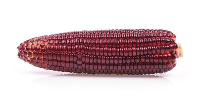 maïs op witte achtergrond foto