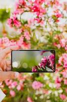 smartphone gebruiken om een foto te maken in de macromodus