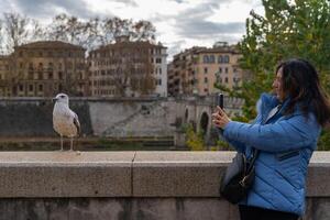 midden- oud vrouw toerist fotograferen met haar mobiel telefoon een zeemeeuw Aan een brug in Rome foto