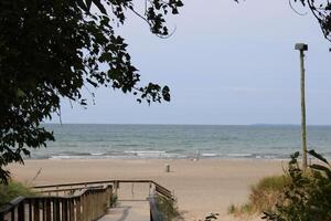 bosgras strand staat park Aan meer erie in buffel nieuw york foto