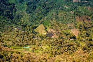 de mooi koffie cultureel landschap van Colombia verklaard net zo een wereld erfgoed plaats in 2011 foto