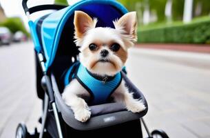 ai gegenereerd portret van schattig klein wit yorkshire terriër hond zittend in huisdier wandelwagen buitenshuis Aan loopbrug foto