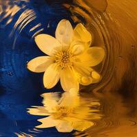 drijvend bloem met geel bloemblaadjes foto