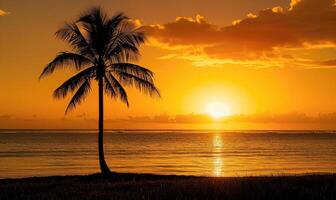 een eenzaam palm boom aftekenen tegen de gouden tinten van een zonsopkomst over- de oceaan, tropisch natuur Bij zonsondergang foto