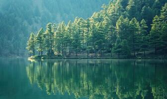 een vredig oever van het meer tafereel met pijnboom bomen weerspiegeld in de kalmte wateren foto